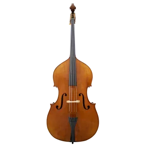 150 Maple Leaf Strings Professional Bass with Bag