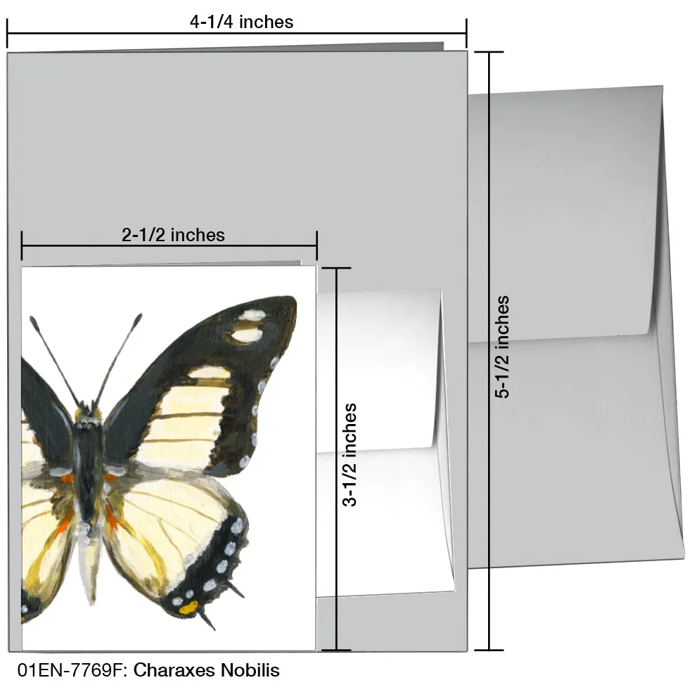 Charaxes Nobilis, Greeting Card (7769F)