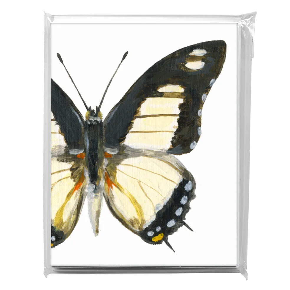 Charaxes Nobilis, Greeting Card (7769F)