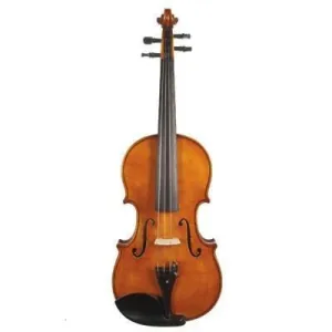 Master Art Juzek Professional Violin with Case